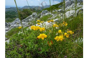 Chorvatsko Hotel Starigrad Paklenica, Exteriér